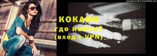 бошки Тавда