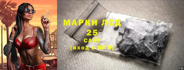 дживик Сясьстрой