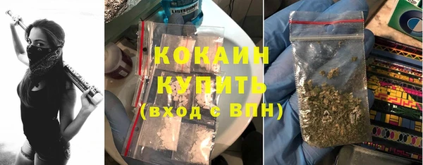 дживик Сясьстрой