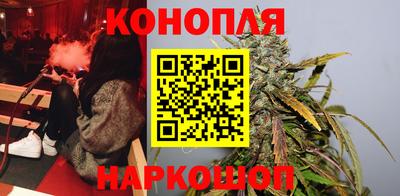 амф Бийск
