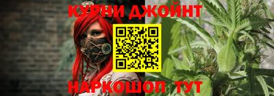 амф Бийск