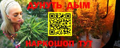 амф Бийск