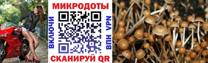 Псилоцибиновые грибы ЛСД  Карачаевск 