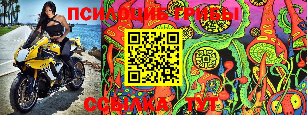 Псилоцибиновые грибы Psilocybine cubensis  где можно купить наркотик  Галлюциногенные грибы MAGIC MUSHROOMS  Карачаевск  Вход с VPN 