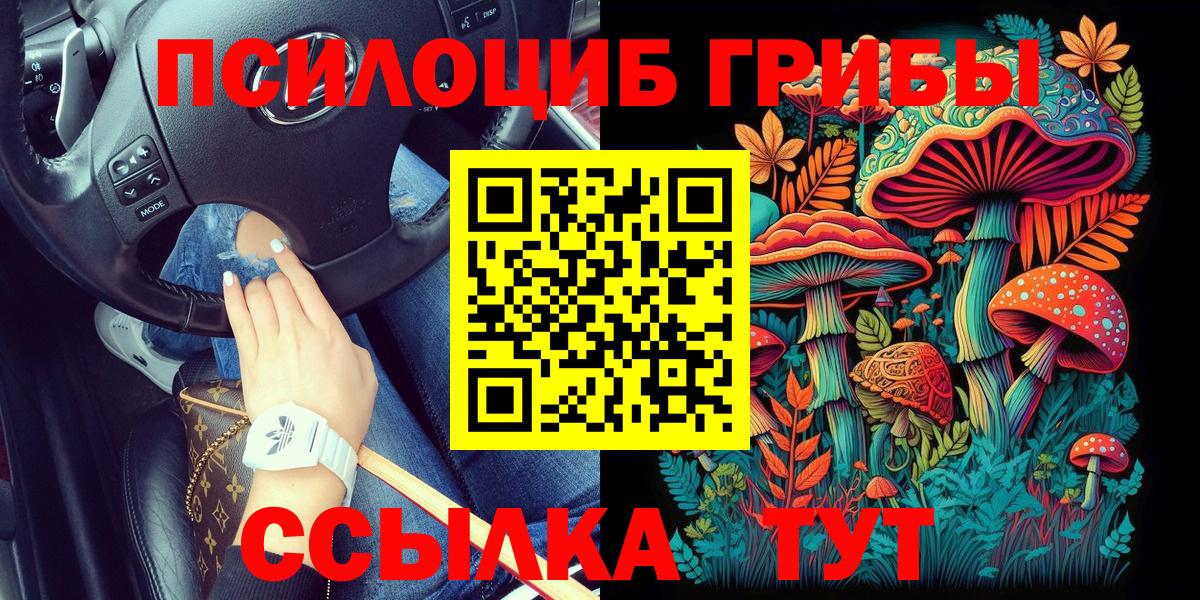 Псилоцибиновые грибы Cubensis Карачаевск