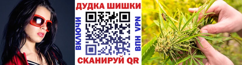 ссылка на мегу рабочий сайт  Карачаевск  Марихуана планчик  магазин  наркотиков 